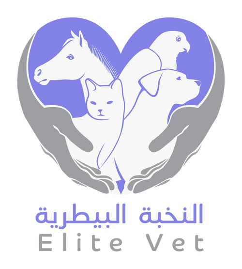Elite Veterinary Clinic